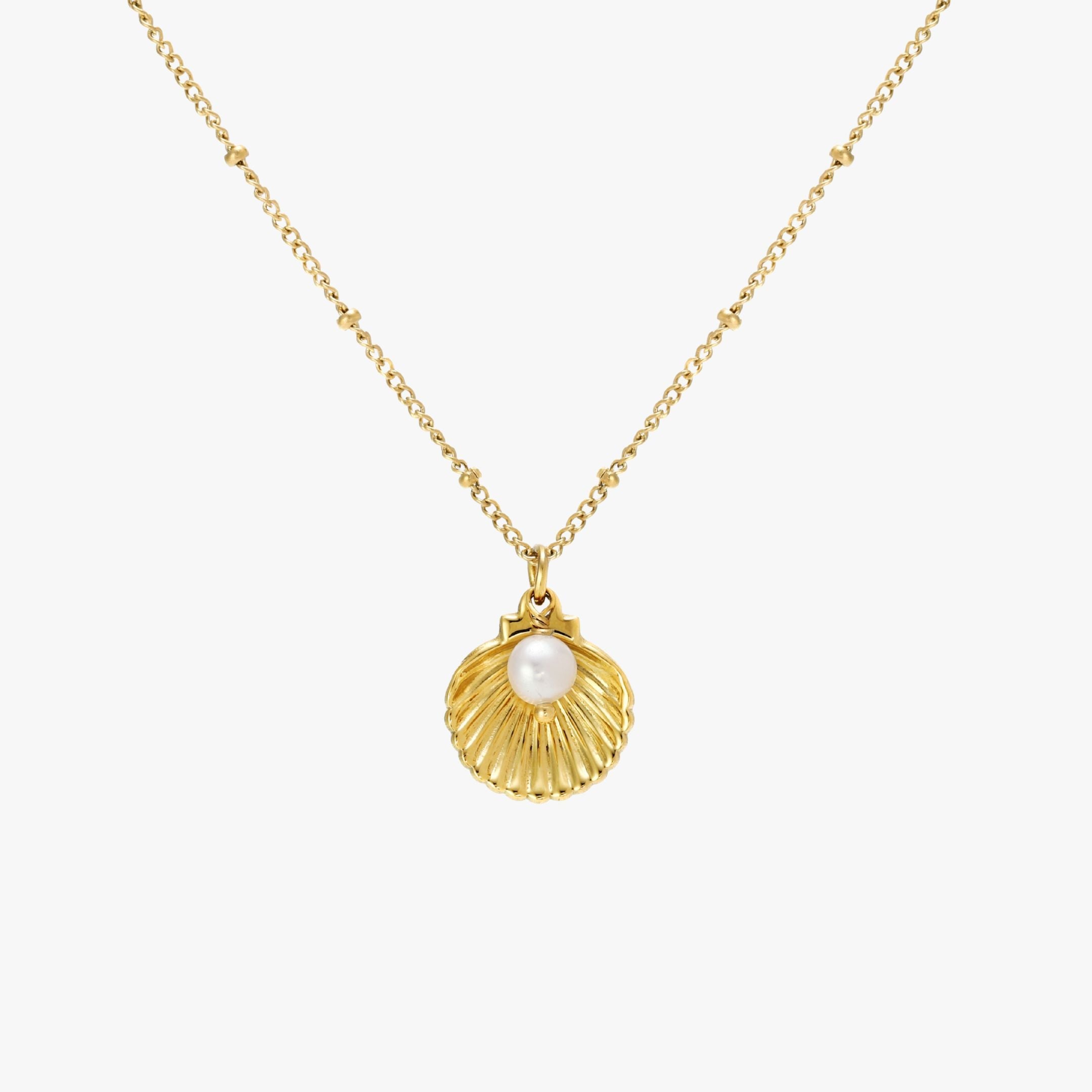 Seashell Necklace